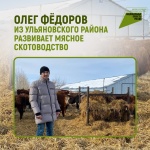 Олег Фёдоров из Ульяновского района развивает мясное скотоводство