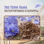 760 тонн льна экспортировано в Беларусь