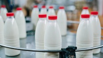 Онлайн-конференция «Экспорт российской молочной продукции в Китай: стратегия успеха»