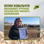 Юлия Ковальчук выращивает крупный рогатый скот мясного направления