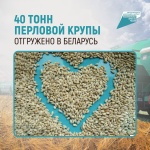 40 тонн перловой крупы отгружено в Беларусь