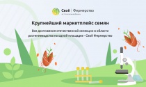 Аграрии получили возможность заказать лучшие достижения российской селекции на маркетплейсе РСХБ