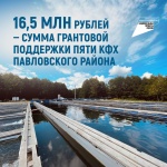 16,5 млн рублей - сумма грантовой поддержки пяти КФХ Павловского района
