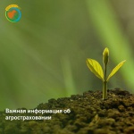 Уважаемые аграрии Ульяновской области!