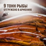 9 тонн рыбы отгружено в Армению
