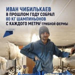 Иван Чибилькаев из Ульяновского района выращивает овощи и грибы