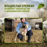 Владислав Еленкин развивает овцеводство в Цильнинском районе