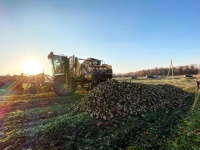 В Ульяновской области набирает темпы уборка с полей технических культур, овощей и картофелям