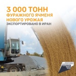 3000 тонн фуражного ячменя нового урожая экспортировано из Ульяновской области в Исламскую Республику Иран