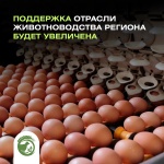 В Ульяновской области дополнительно направят десять миллионов рублей на поддержку отрасли животноводства