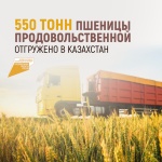 550 тонн продовольственной пшеницы отгружено в Казахстан
