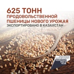 625 тон продовольственной пшеницы нового урожая экспортировано из Ульяновской области в Казахстан