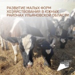 Развитие малых форм хозяйствования в южных районах Ульяновской области