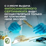 С 3 июля выдача фитосанитарного сертификата будет осуществляться только на платформе «Мой экспорт»