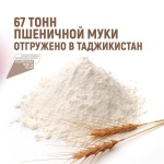 67 тонн пшеничной муки отгружено в Таджикистан