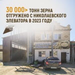 Более 30 тысяч тонн зерна отгружено с николаевского элеватора в 2023 году