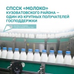 СПССК «Молоко» Кузоватовского района — один из крупных получателей господдержки