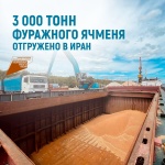 3000 тонн фуражного ячменя отгружено в Иран