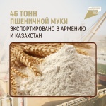 46 тонн пшеничной муки экспортировано в Армению и Казахстан