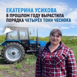 Фермер из Павловского района выращивает овощи в открытом грунте 