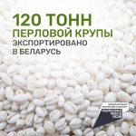 120 тонн перловой крупы экспортировано из Ульяновской области в Беларусь