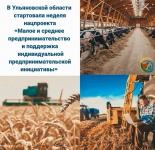 В Ульяновской области стартовала неделя нацпроекта «Малое и среднее предпринимательство и поддержка индивидуальной предпринимательской инициативы»
