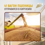 41 вагон пшеницы отправился в Киргизию
