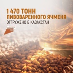 1 470 тонн пивоваренного ячменя отгружено в Казахстан