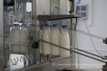 В Мелекесском районе открыли завод по переработке молока