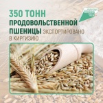 350 продовольственной пшеницы будет экспортировано в Киргизию