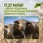 17,27 млн рублей - объём поддержки пяти начинающих фермеров Майнского района