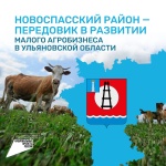 Новоспасский район - передовик в развитии малого агробизнеса в Ульяновской области