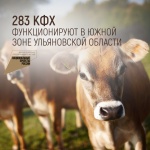 283 крестьянских фермерских хозяйства функционируют в Южной зоне Ульяновской области