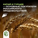 Китай и Турция - основные покупатели российского продовольствия