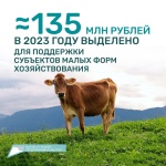 Почти 135 млн рублей в 2023 году выделено для поддержки субъектов малых форм хозяйствования