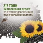 317 тонн биотопливных пеллет из лузги подсолнечника экспортировано в Беларусь