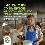Порядка 45 тысяч субъектов МСП насчитывается в Ульяновской области