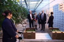 На крупнейшем овощеводческом предприятии Ульяновской области открылся новый логистический комплекс 