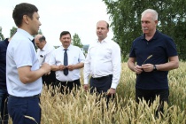 В Ульяновской области запустили пилотный проект по развитию сортоиспытательного дела в сельском хозяйстве 