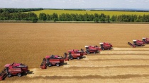 Аграрии Ульяновской области намолотили почти 300 тысяч тонн зерна