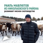 Раиль Мавлютов из Николаевского района развивает мясное скотоводство 