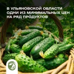 Ульяновская область входит в десятку субъектов РФ с минимальными ценами на ряд социально значимых продуктов