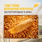 «Международная кооперация и экспорт» отгрузил 1 892 тонн фуражной кукурузы в Иран