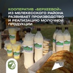 Кооператив «Берхеевой» из Мелекесского района активно развивает производство и реализацию молочной продукции