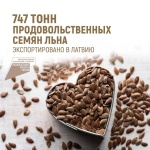 747 тонн продовольственных семян льна отгружено в Латвию