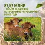 87,57 млн рублей - объем поддержки по программе «Агростартап» в 2022 году